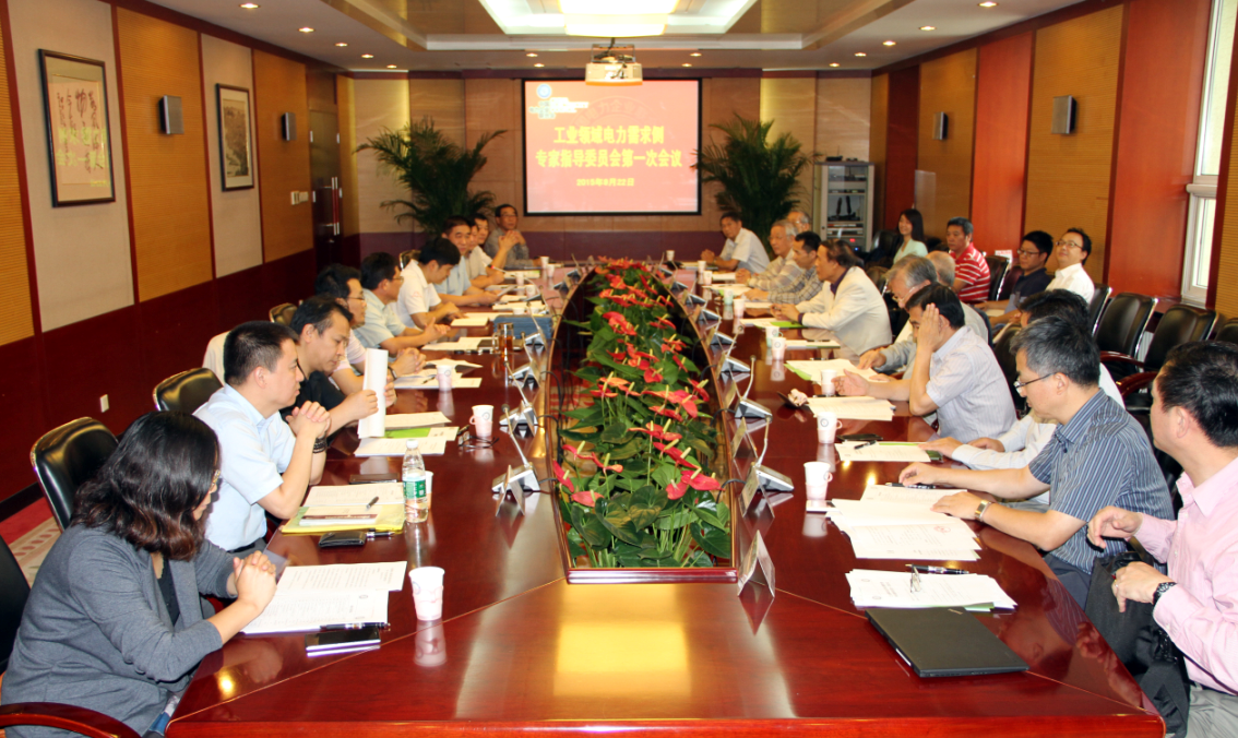 工業(yè)領(lǐng)域電力需求側(cè)管理專(zhuān)家指導(dǎo)委員會(huì)第一次