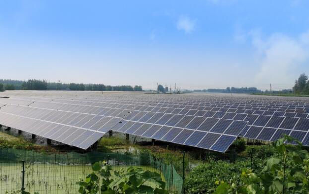 江蘇金湖兆輝50MW漁光互補(bǔ)光伏電站.jpg