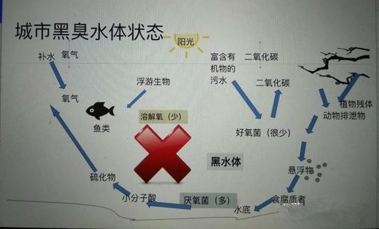 江蘇億元投資治污新技術 石墨烯能否治理黑臭水體？