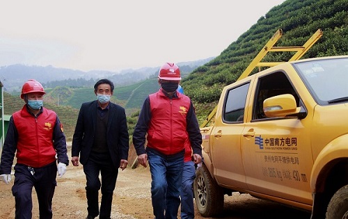平塘供電局：“加減法”同構(gòu)服務(wù)，護(hù)航“貴州春茶第一壺”