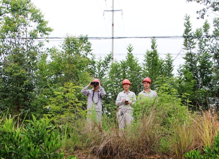 國網(wǎng)江永縣供電公司:負(fù)責(zé)人帶隊巡線，精施策護網(wǎng)保電