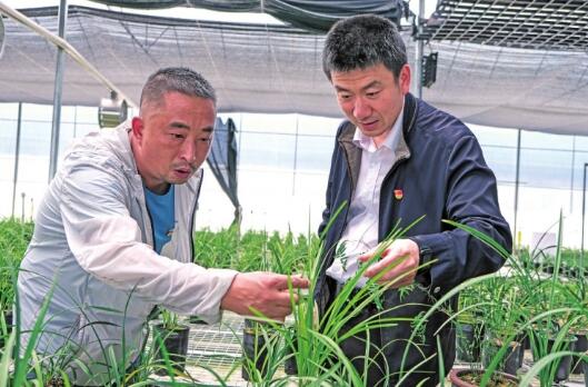 唐寶:真誠(chéng)真情真扶貧