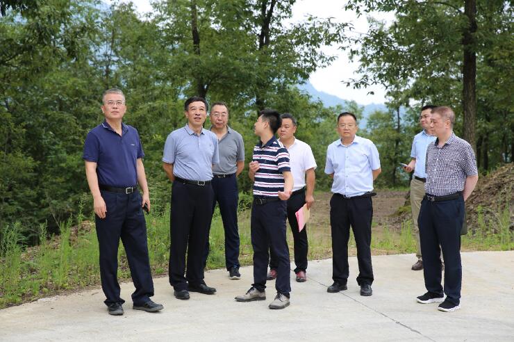 中國(guó)能建總經(jīng)理、黨委副書(shū)記孫洪水一行赴陜西鎮(zhèn)巴縣調(diào)研定點(diǎn)扶貧工作