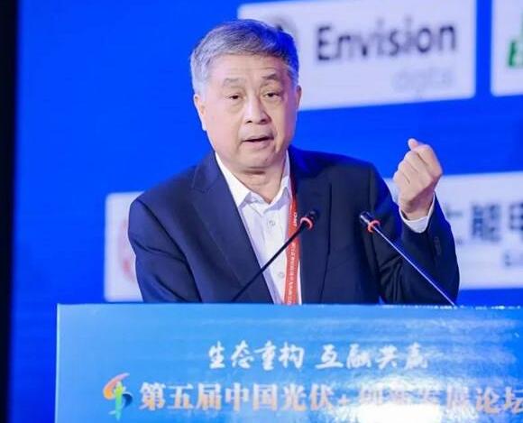 王勃華:我國(guó)光伏行業(yè)發(fā)展已形成“雙循環(huán)”格局