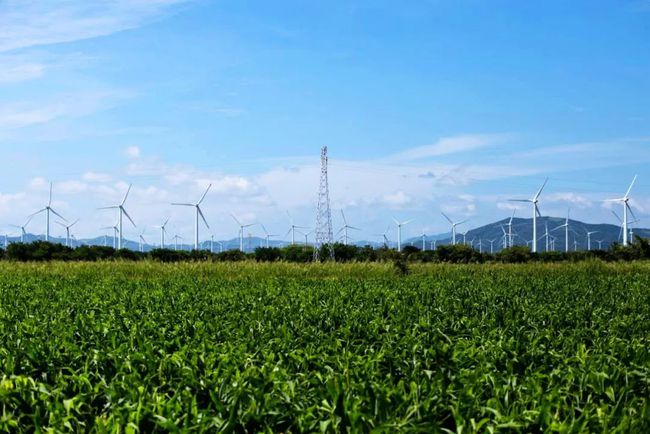 收購墨西哥818MW光伏電站，國家電投境外光伏電站裝機(jī)超6GW