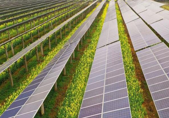 廣東清遠(yuǎn)建設(shè)小型農(nóng)光互補光伏發(fā)電站，工程總投資1.5億元