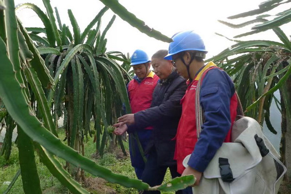 國網(wǎng)寧海縣供電公司：“電力紅馬甲”護航，退役軍人鄉(xiāng)村創(chuàng)業(yè)“紅如火”