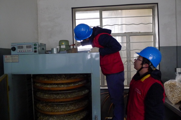 國網(wǎng)寧?？h供電公司：電力紅馬甲服務(wù)鄉(xiāng)村企業(yè) ，讓黃精變“黃金”