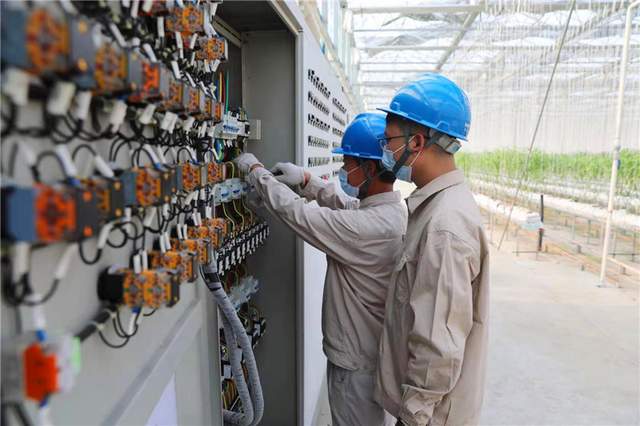 國(guó)網(wǎng)海安市供電公司:老區(qū)電氣化 農(nóng)業(yè)有奔頭