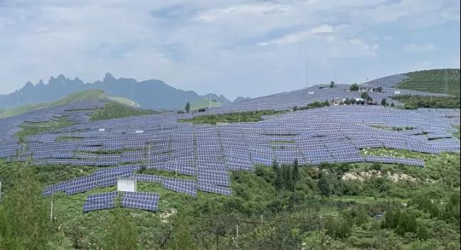 少長一棵草，多發(fā)一度電，助力碳中和