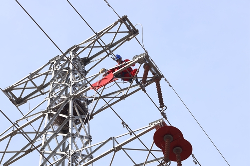 國(guó)網(wǎng)壽光供電:加裝防鳥(niǎo)刺 構(gòu)筑“平安網(wǎng)”
