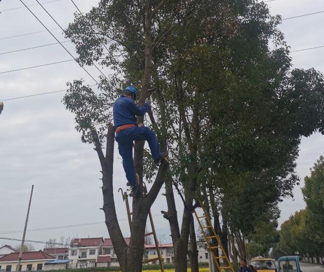 國(guó)網(wǎng)城固縣供電公司積極開展春季樹障清理工作，打通線路安全通道  　　中國(guó)電力網(wǎng)訊  陽(yáng)春三月，草長(zhǎng)鶯飛，又到了樹竹快速生長(zhǎng)的季節(jié)，茂密的樹木包裹10千伏及0.4千伏導(dǎo)線，“線樹”矛盾愈發(fā)嚴(yán)重，此時(shí)也正