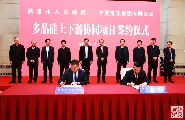 寶豐集團(tuán)擬在寧夏建設(shè)35萬噸工業(yè)硅、30萬噸多晶硅、50GW拉晶切片、30GW電池組件