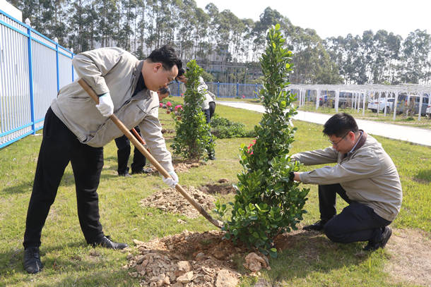 國能(泉州)熱電有限公司開展植樹活動共建美好家園