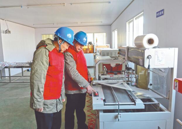 濱?？h供電公司：白首烏產(chǎn)業(yè)發(fā)展充上“滿格電”