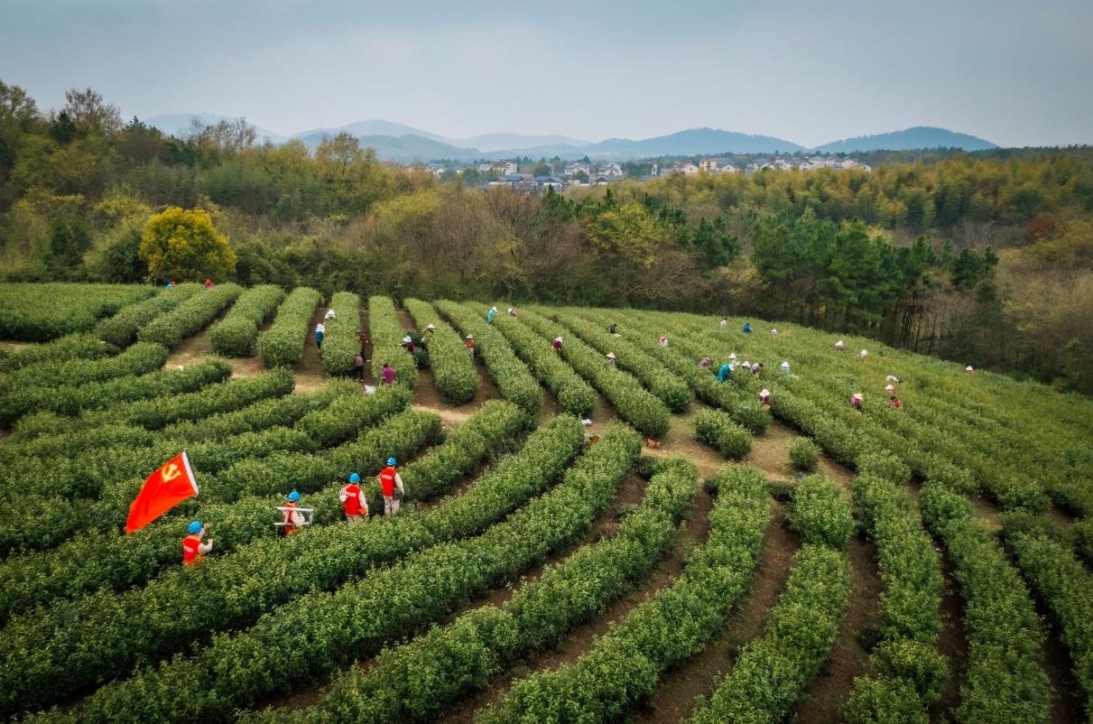 國(guó)網(wǎng)高淳區(qū)供電公司:編制“24節(jié)氣”工作法 賦能鄉(xiāng)村振興