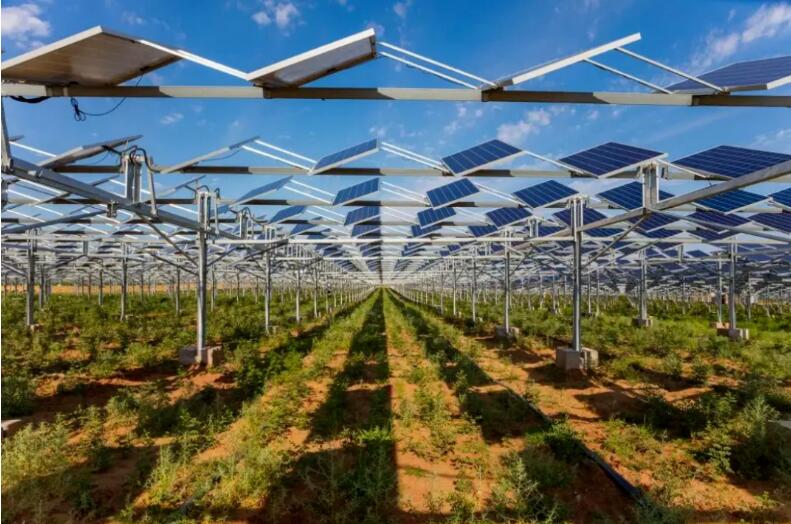 光伏治沙+風光大基地，寧夏“走出”生態(tài)保護和高質量發(fā)展新道路