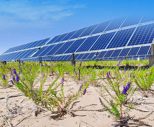 光伏治沙+風光大基地，寧夏“走出”生態(tài)保護和高質量發(fā)展新道路