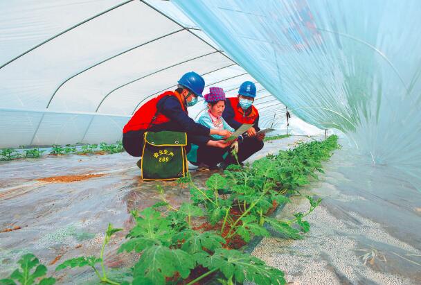 上門服務(wù)，瓜甜心更甜