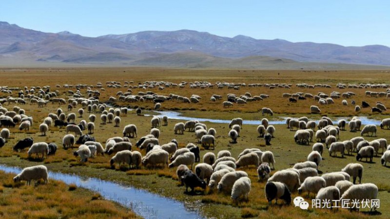 面積接近一個(gè)新加坡！青海塔拉灘光伏電站照亮“陽光之路”