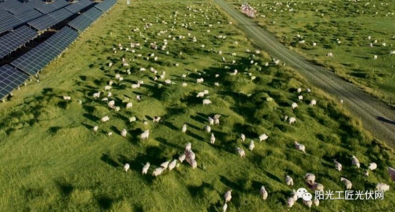 面積接近一個(gè)新加坡！青海塔拉灘光伏電站照亮“陽光之路”