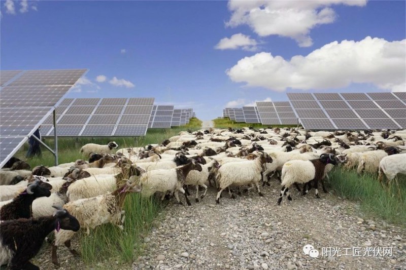 面積接近一個(gè)新加坡！青海塔拉灘光伏電站照亮“陽光之路”