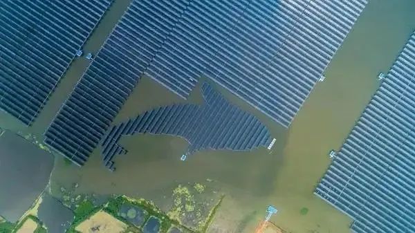 泗洪1000MW光伏領(lǐng)跑者項(xiàng)目被勒令拆除整改！