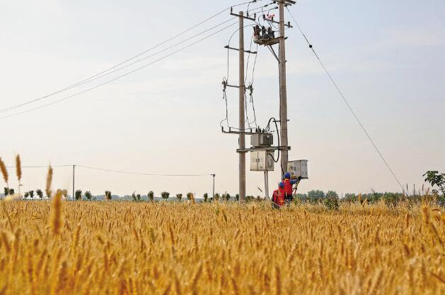 安徽阜陽：“旱了能澆，澇了能排”