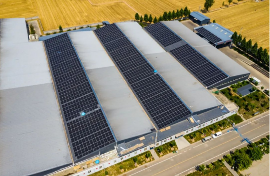 分布式光伏助力企業(yè)低碳轉(zhuǎn)型！麥田里的陽光工廠，年均生產(chǎn)108萬度綠電！