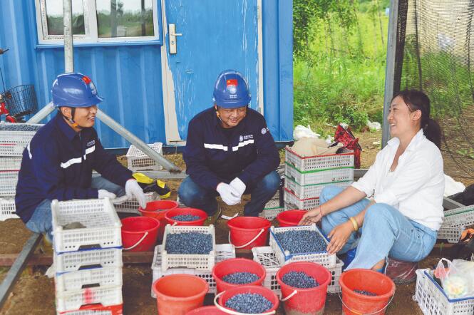 黑龍江湯原:供電保障可靠 特色產(chǎn)業(yè)發(fā)展好