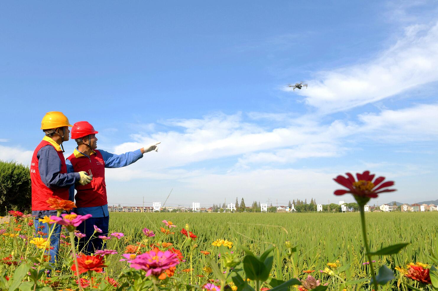 國(guó)網(wǎng)余姚市供電公司:保電金十月 秋收好“豐景”