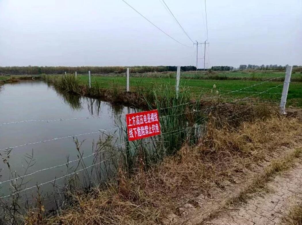 國網(wǎng)濟寧供電公司治理垂釣隱患，保電網(wǎng)安全運行