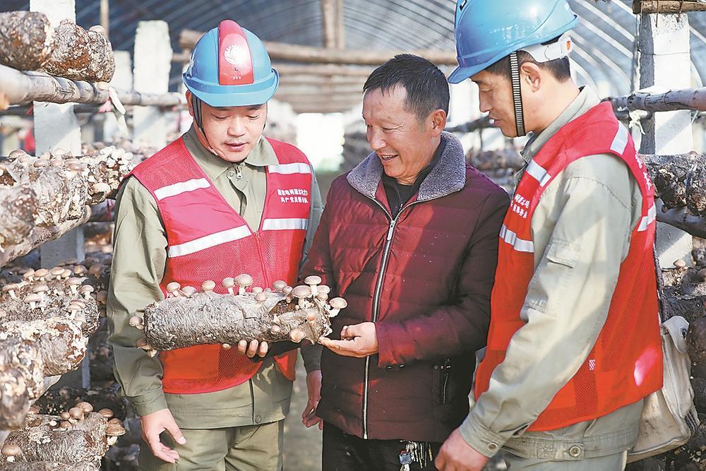 湖北谷城供電公司:保供電 促增收