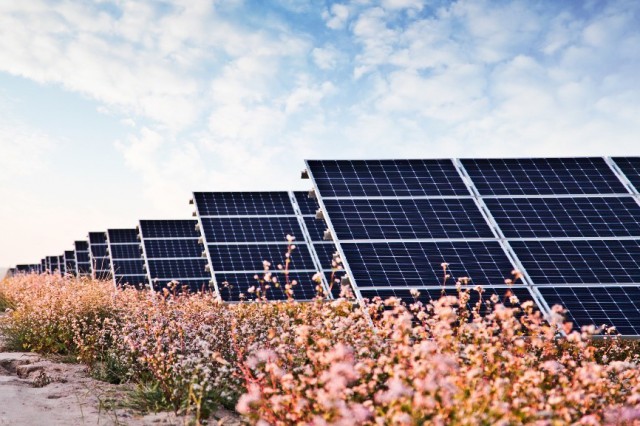 華能“嘗鮮”,攜隆基綠能打造高性價比光伏電站