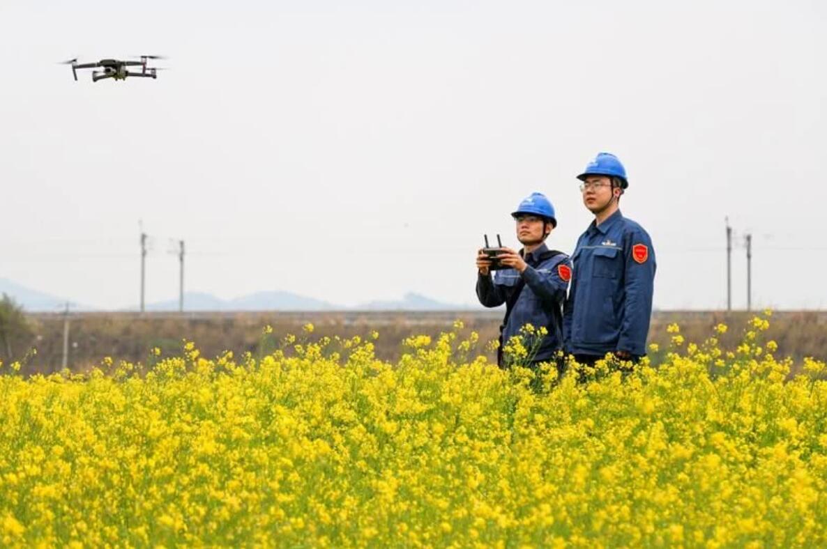 廣西鹿寨供電局:助力春耕 保障供電