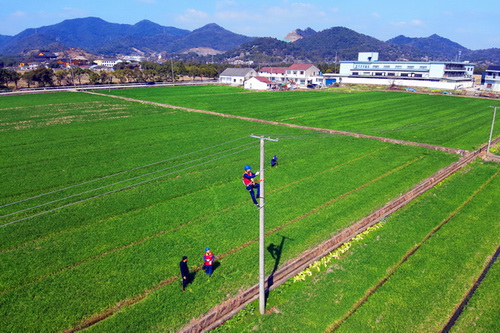 國網(wǎng)寧波市海曙區(qū)供電公司:春耕忙 電力足 萬物生長正當(dāng)時(shí)