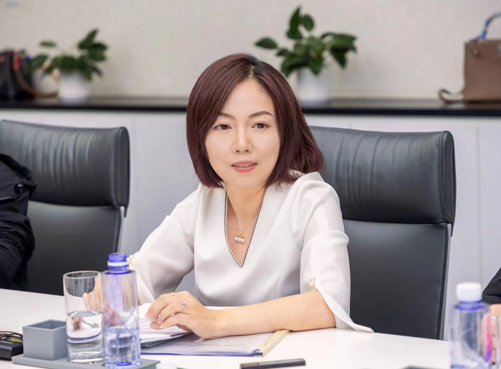 全國人大代表鐘錚:建議支持新型儲能發(fā)展 完善容量電費(fèi)機(jī)制