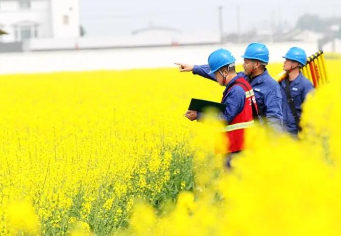 四川德陽:電力為農(nóng)業(yè)農(nóng)村現(xiàn)代化添動能