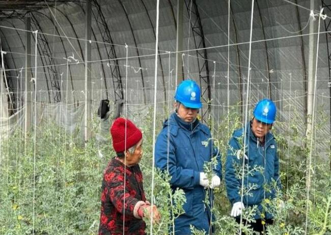 山東惠民供電公司：走訪(fǎng)種植大棚，優(yōu)化農(nóng)業(yè)營(yíng)商環(huán)境