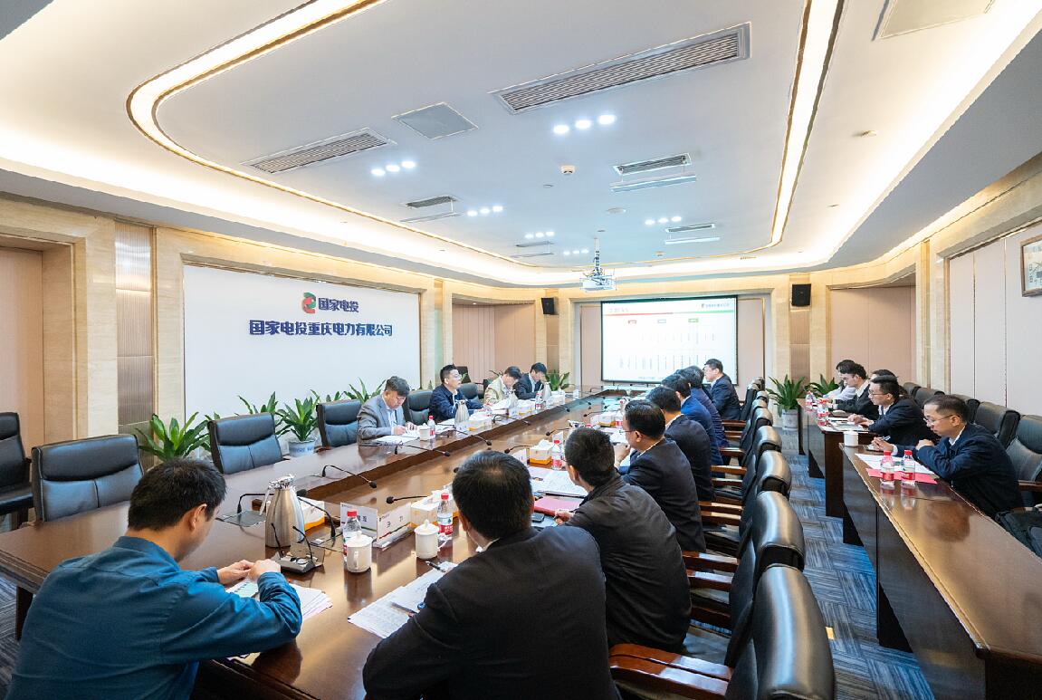 徐樹彪到重慶公司、遠達環(huán)保調研