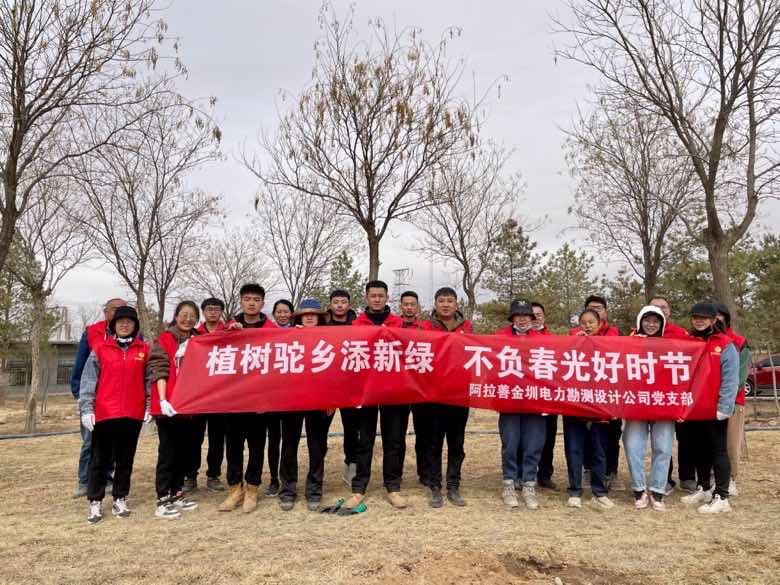 阿拉善金圳電力設(shè)計(jì)公司:植樹(shù)駝鄉(xiāng)添新綠 不負(fù)春光好時(shí)節(jié)