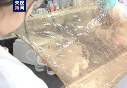 國(guó)產(chǎn)新型離子膜問(wèn)世，有望在新能源的儲(chǔ)能領(lǐng)域廣泛應(yīng)用