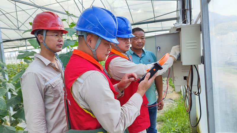 國(guó)網(wǎng)漳平市供電公司:“村網(wǎng)共建”聚合力 攜手共促鄉(xiāng)村振興