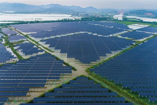 水上發(fā)電，水下養(yǎng)魚(yú)!黃石“漁光互補(bǔ)”綠色興農(nóng)