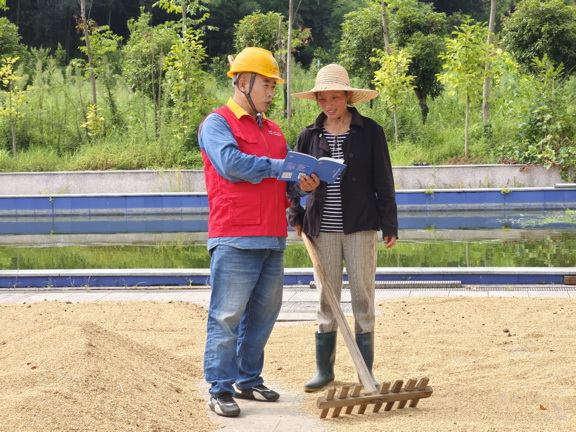 國(guó)網(wǎng)衢州供電公司紅船服務(wù)“零距離”電助水稻“喜豐收”