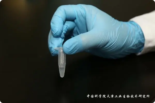 二氧化碳“變身”糖，中國科學(xué)家實(shí)現(xiàn)重大突破!