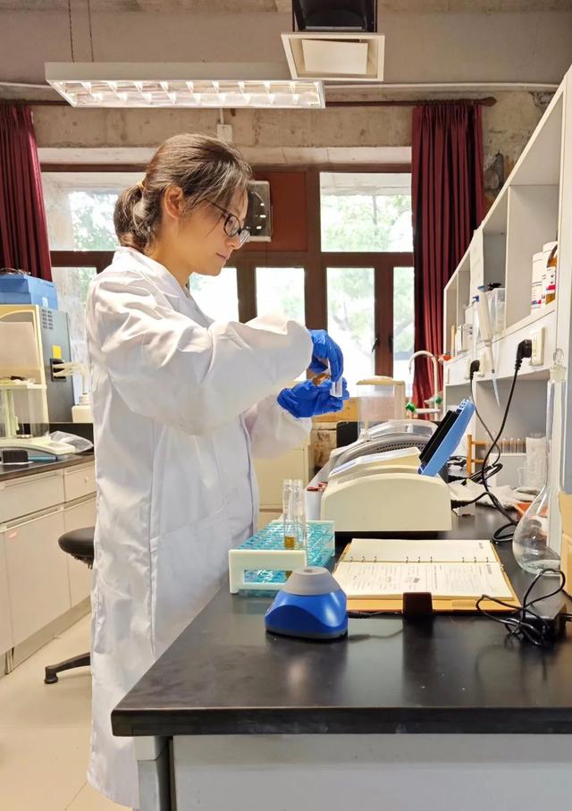 寶山這位博士后探索“氫轉(zhuǎn)甲烷”科創(chuàng)路徑,推動(dòng)清潔能源制氫