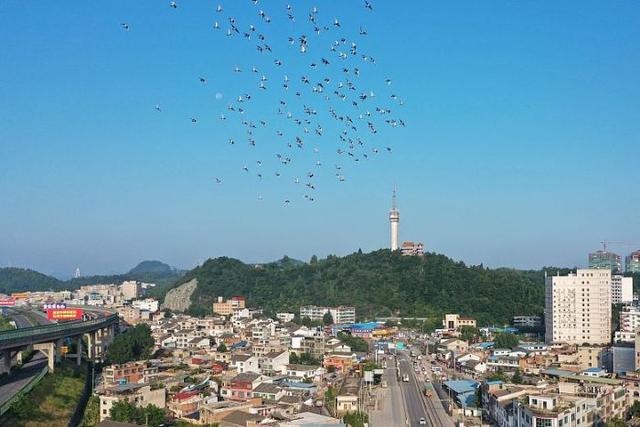 日“吞”垃圾500噸，年“吐”電能超億度!清鎮(zhèn)市首個(gè)生活垃圾焚燒發(fā)電項(xiàng)目并網(wǎng)發(fā)電