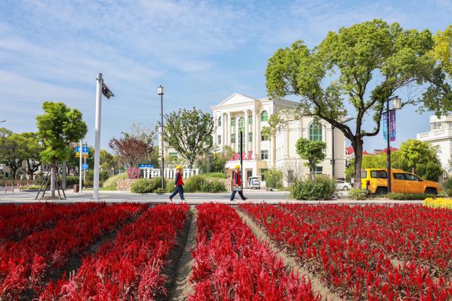 “電靚”和美鄉(xiāng)村，過(guò)去20年，杭州電力做了什么