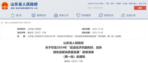 山東: 海上光伏2025年底前并網,免于配儲、有初投資補貼!